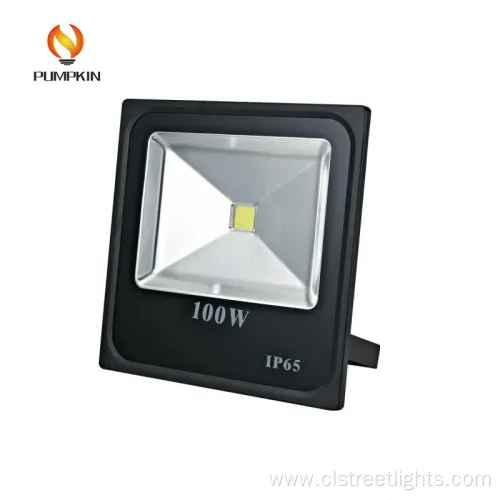Quality Assurance IC Driver 100W LED Flood Light